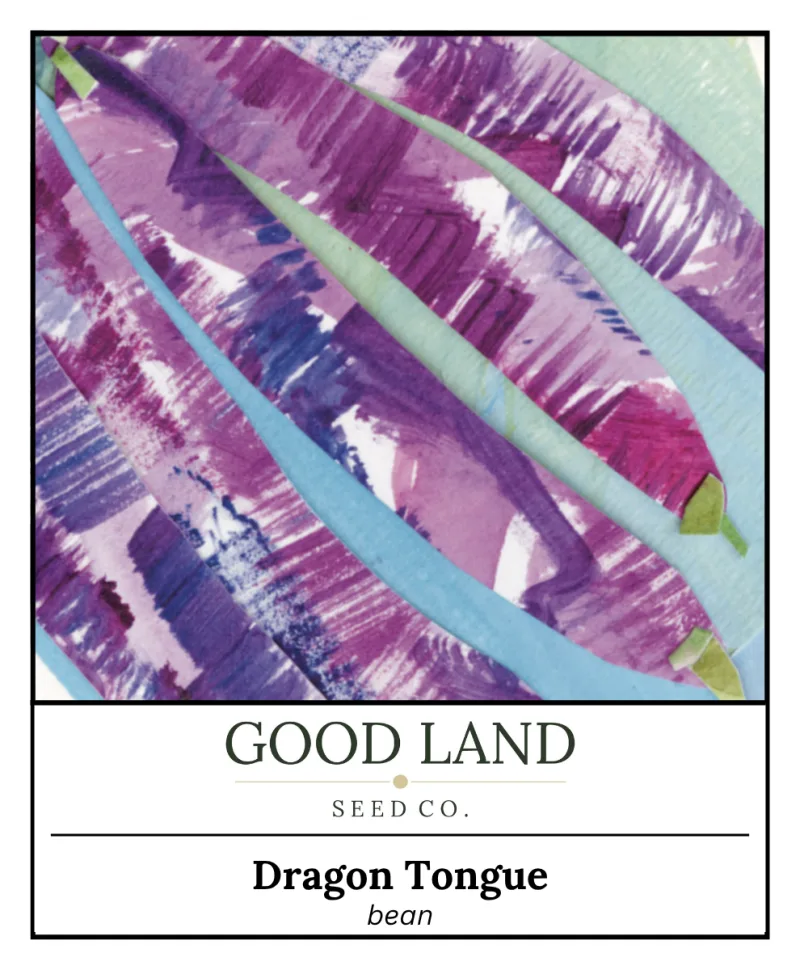 Dragon Tongue Bean