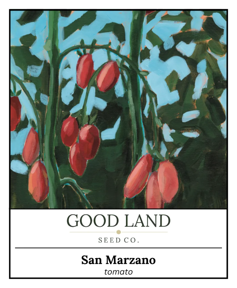 San Marzano